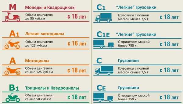 Сколько фото нужно для прав водительских