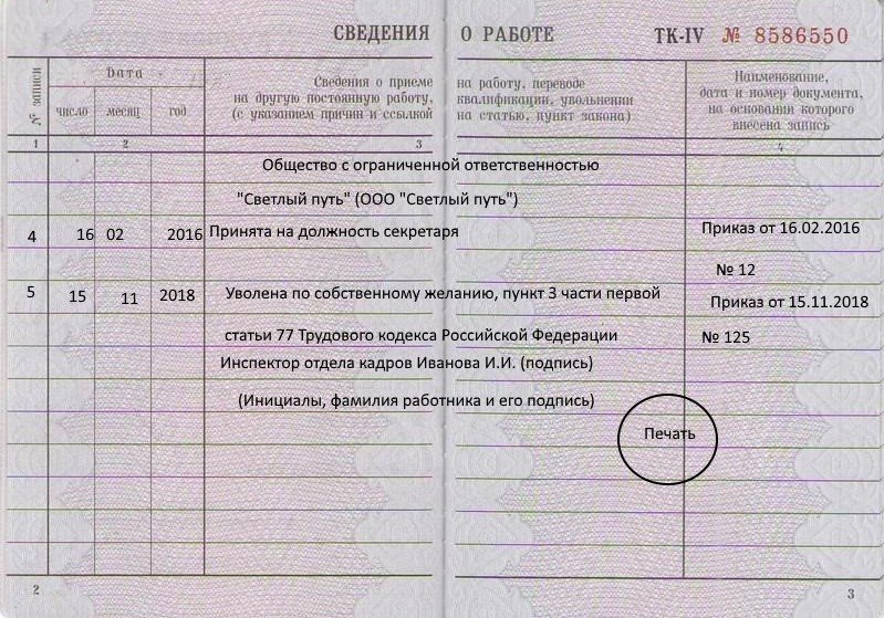 trudovaya-zapoln.jpg